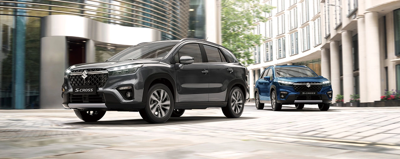S-Cross
